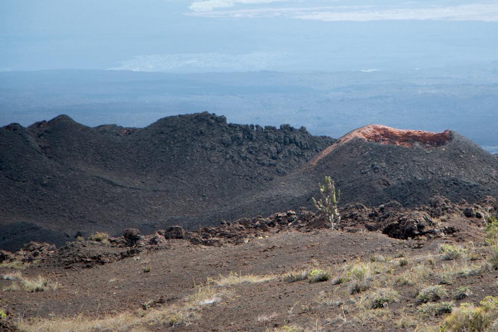 פורטו וילאמיל Chez Manany Galapagos Ecolodge מראה חיצוני תמונה