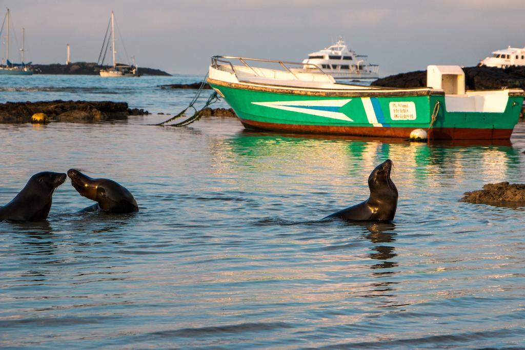 פורטו וילאמיל Chez Manany Galapagos Ecolodge מראה חיצוני תמונה