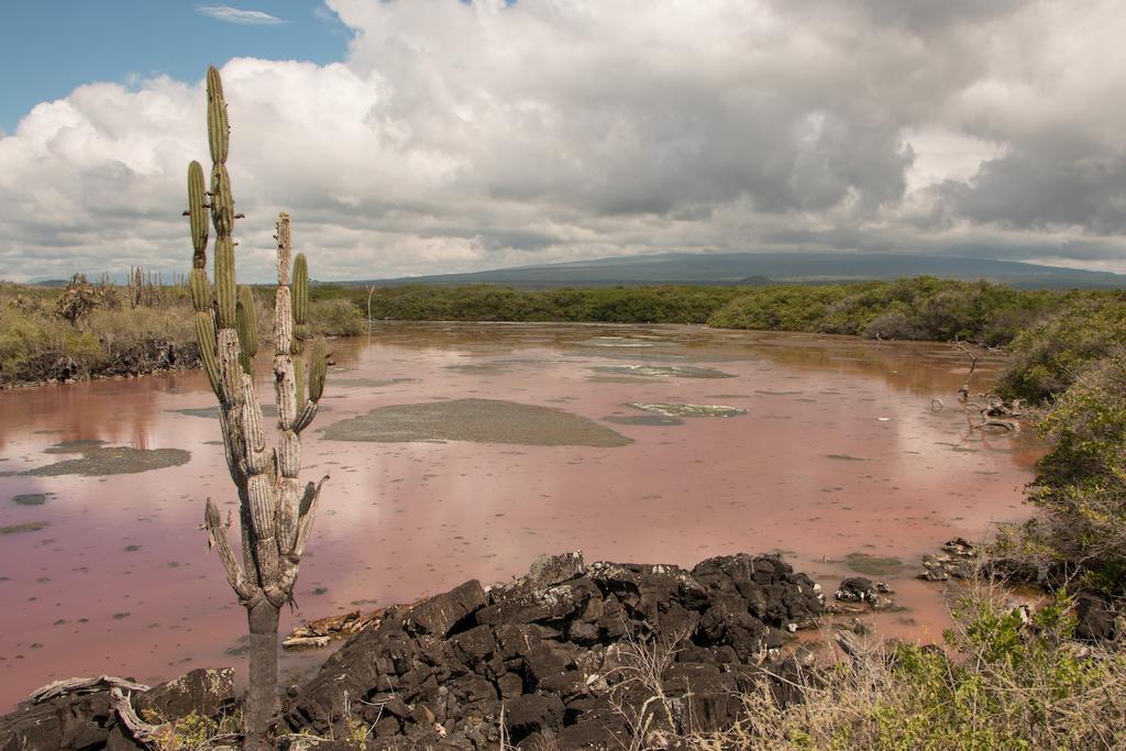 פורטו וילאמיל Chez Manany Galapagos Ecolodge מראה חיצוני תמונה