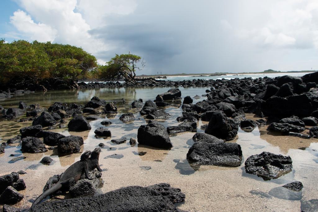 פורטו וילאמיל Chez Manany Galapagos Ecolodge מראה חיצוני תמונה