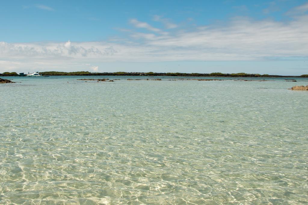 פורטו וילאמיל Chez Manany Galapagos Ecolodge מראה חיצוני תמונה